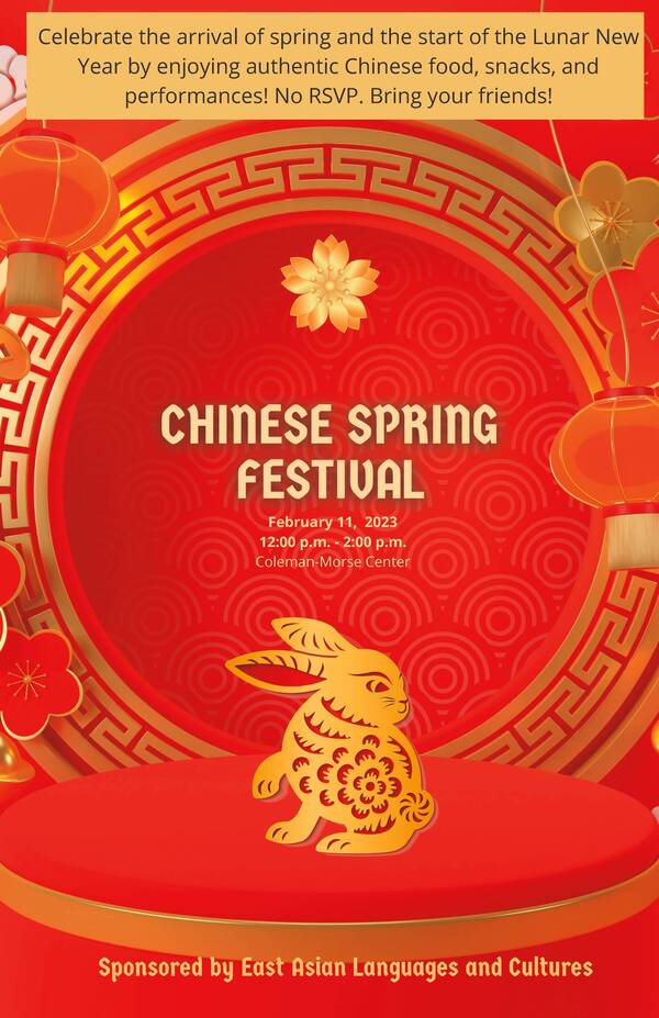 2 11 Chinese Spring Festival Celebration Hogan Poster
